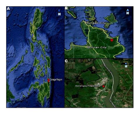 Map of the sampling area showing the Philippines (A), Butuan City (B ...