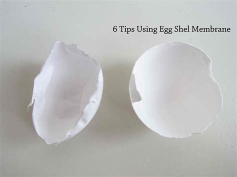 6 Healing Tips Using Egg Shell Membrane - All Self-Sustained