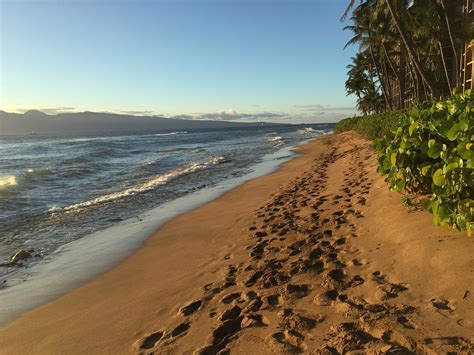 Footprints Sand Beach - Free photo on Pixabay