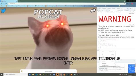 PopCat Game