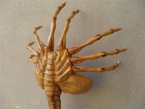 Alien 3 1X1 Facehugger model replica replica movie prop