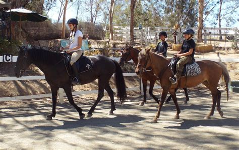 Horseback riding camp this week | Mega Arte Riding Academy Blog