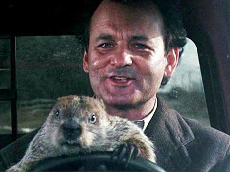 Bill Murray as Phil Connors in the movie "Groundhog Day," 1993