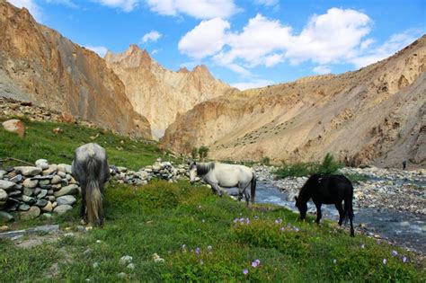 NUBRA VALLEY TREKKING – Brown Bear Trails Pvt Ltd