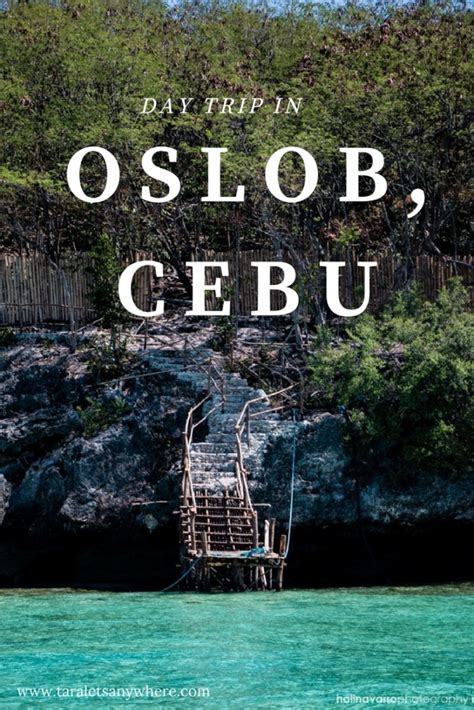 Oslob Day Tour: Itinerary and Tips - Tara Lets Anywhere