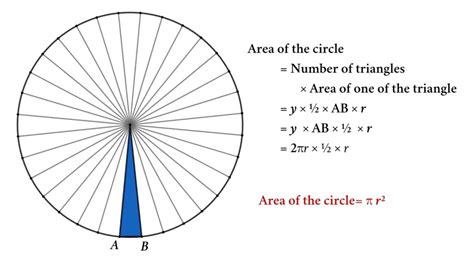 Area and Perimeter of the Circle: Formula and Derivations