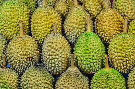 The most unique Green Tropical Fruit | Seeds Del Mundo