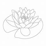 Water Lily Flower Coloring Page And Book Lotus Hand Drawn Line Art  sketch template