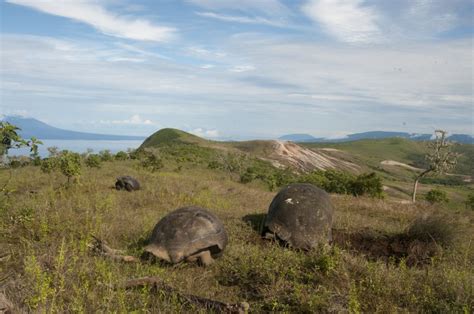 Galápagos Conservancy and National Park Join Forces to Strengthen ...