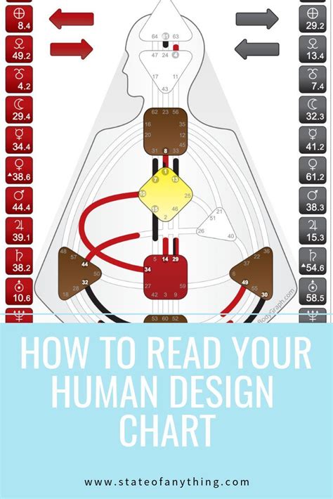 How To Read Human Design Chart Pdf - calorie