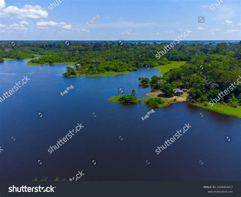 Aerial View Amazon Rainforest Brazil Incredible Stock Photo 2204850437 ...