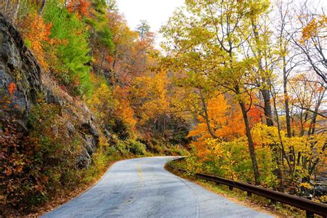 Fall Colors in Western North Carolina: All images captured in Western North Carolina. Last two ...