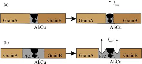 Schematic illustration of intergranular corrosion. | Download ...