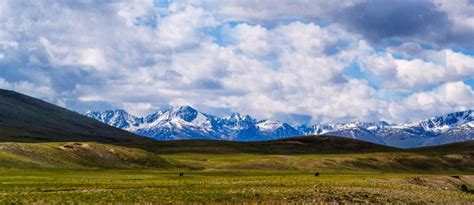 Visit Deosai National Park, Pakistan: A Complete Guide | Zameen Blog