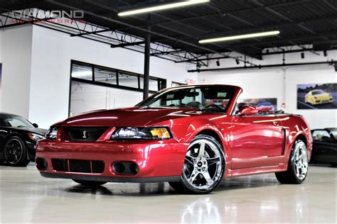 Ford Mustang Cobra Svt Convertible | My XXX Hot Girl