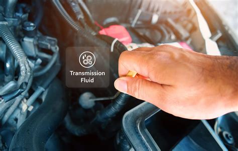 Transmission Fluid Change Cost Guide (DIY vs. Mechanic Pricing)