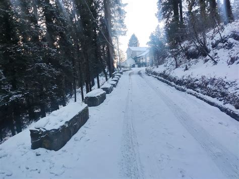 Fresh snowfall disrupts normal life in Himachal Pradesh – ThePrint ...