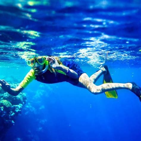 Snorkeling Adventure in St. Maarten | Cruise excursions, Snorkeling, Best scuba diving