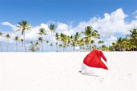 "Tropical Christmas" Images – Browse 194 Stock Photos, Vectors, and Video | Adobe Stock