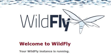 How To Install WildFly on Ubuntu 22.04 LTS