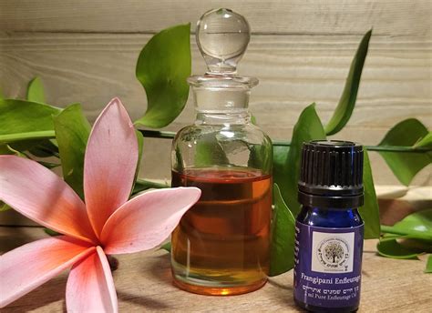 Frangipani Abs/ Plumeria Enfleurage High Quality Essential Oil 5ml ISRAEL - Aytz Chayim Aromatherapy