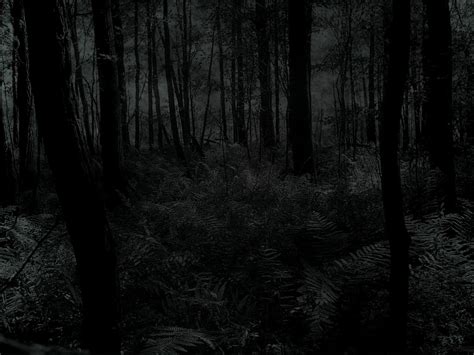 HD Creepy Trees Dark Forests Woods Iphone Wallpaper | Download Free ...