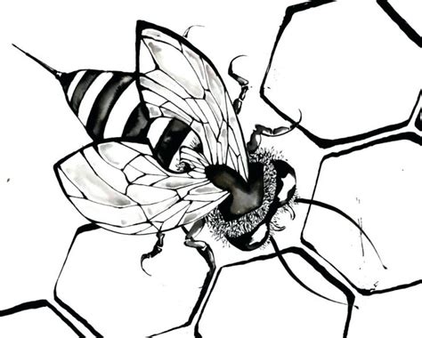 Queen Bee Drawing at GetDrawings | Free download