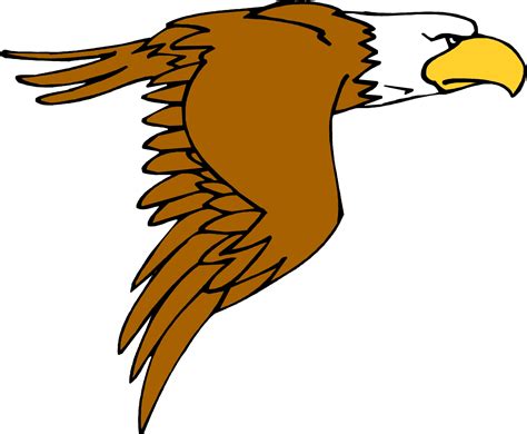 cartoon eagle clipart 20 free Cliparts | Download images on Clipground 2024