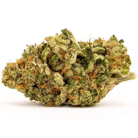 White Widow MMJ Strain Review | Giving Tree Dispensary