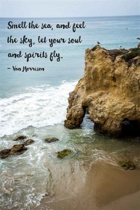 39+ Feel Good Quotes To Make You Feel Like You're At The Beach