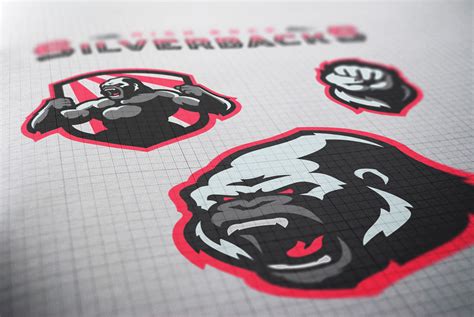 Silverbacks | Sports Identity + Branding :: Behance