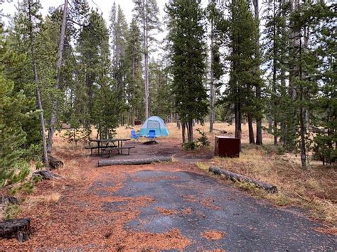 Site Norris Site #5, Norris Campground - Recreation.gov