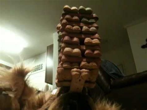 Dog Balancing Treats