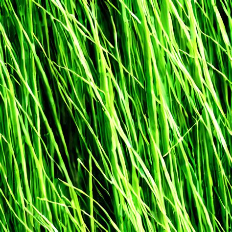 Garden Grass Pattern · Creative Fabrica