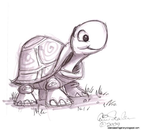 Baby Sea Turtle Sketch | Wallpapers Gallery