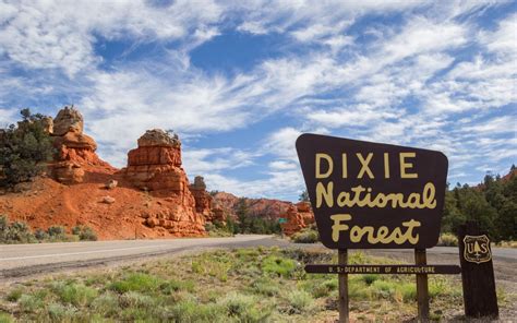 Dixie National Forest | Utah.com