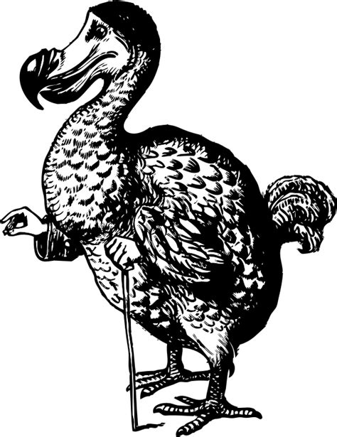 Clipart - The Dodo from Alice in Wonderland