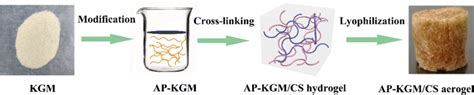 Schematic illustration of the synthesis of AP-KGM/CS aerogel | Download Scientific Diagram