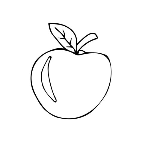 Ripe apple vector black and white illustration on a white background ...