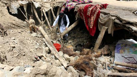 Afghanistan Earthquake: Taliban govt struggles with relief ops; India ...