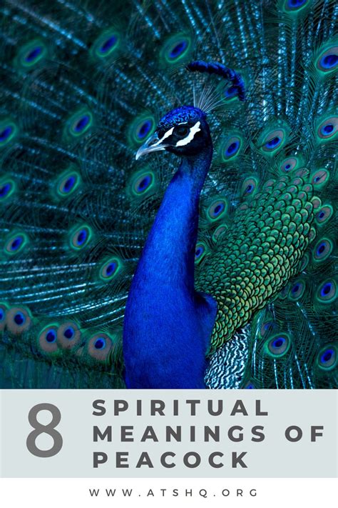 Peacock Symbolism: 8 Spiritual Meanings of Peacock (2023)