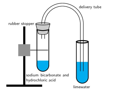 Acid and a Metal Carbonate | Acid-Base and Redox Reactions