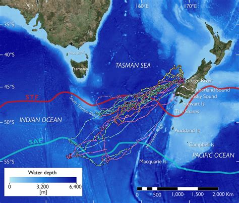 Overview of the southern tasman sea bathymetry and important geographic... | Download Scientific ...