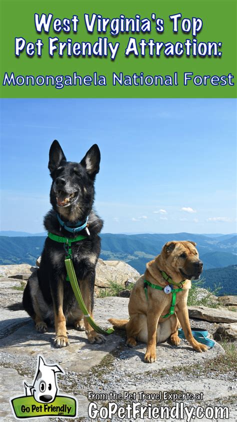 West Virginia's Top Pet Friendly Attraction: The Monongahela National ...