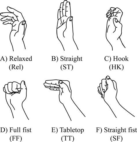 Deformation of the median nerve at different finger postures and wrist angles [PeerJ]