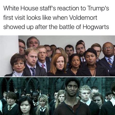 harry potter memes on Tumblr