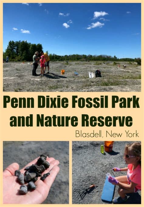 Penn Dixie Fossil Park & Nature Reserve, Blasdell, NY – A Nation of Moms