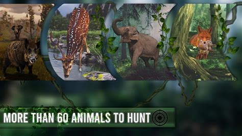 Wild Animal Hunting Game APK for Android Download