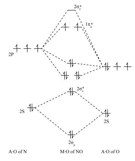 No Molecular Orbital Diagram