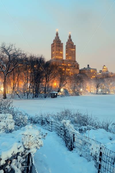 Central Park winter – Songquan Photography